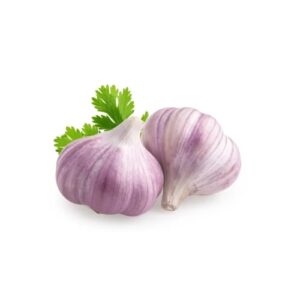 Garlic